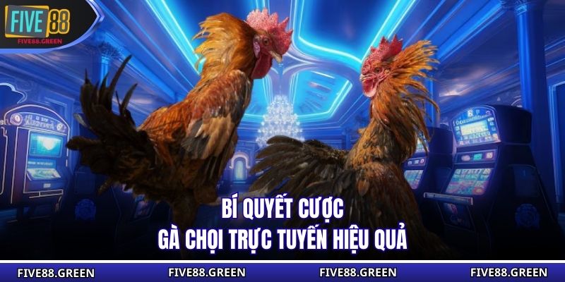 Bí quyết cược gà chọi trực tuyến hiệu quả